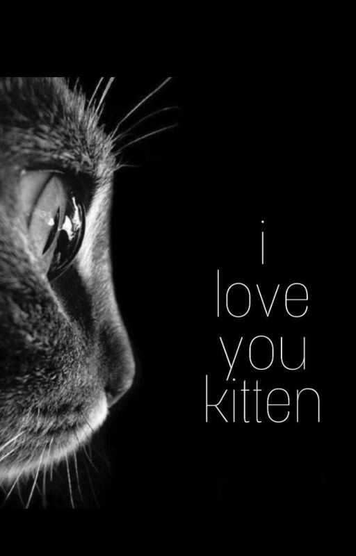 | I love you kitten | by anella1010