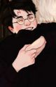 Drarry inheritance (Please Adopt) by Riley-Le_Gay