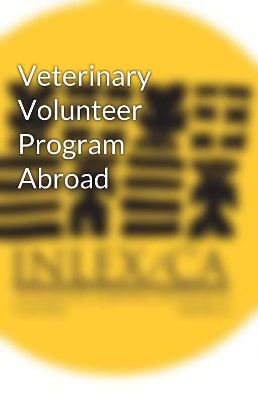 Veterinary Volunteer Program Abroad by inlexca