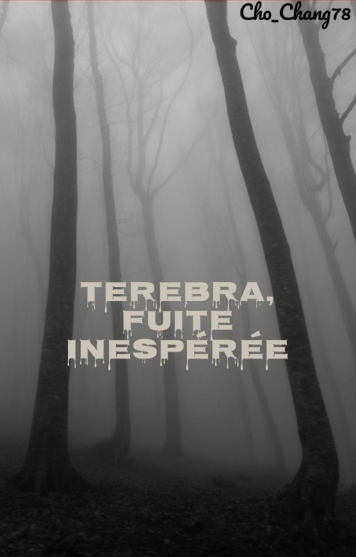 Terebra, Fuite Inespéré by Cho_Chang78