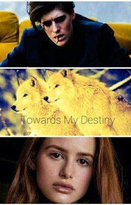 Towards My Destiny (Lesbian)(Completed) cover