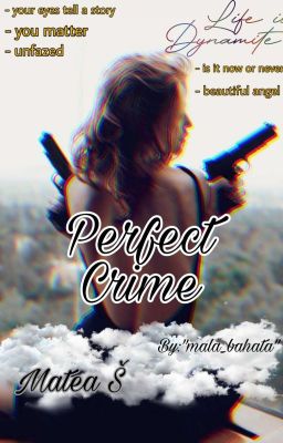 PERFECT CRIME ( Završena ) cover