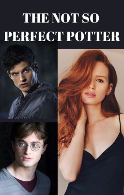 The Not So Perfect Potter cover