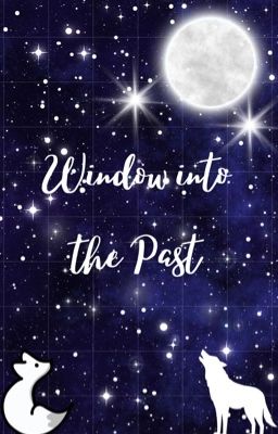 Window into the Past cover