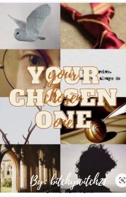 ✨Y O U R   C H O S E N   O N E ✨ { harry potter x reader} cover