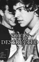 SOULS DESTRUCTED - (TERMINÉE) by AaronCharlesLincoln