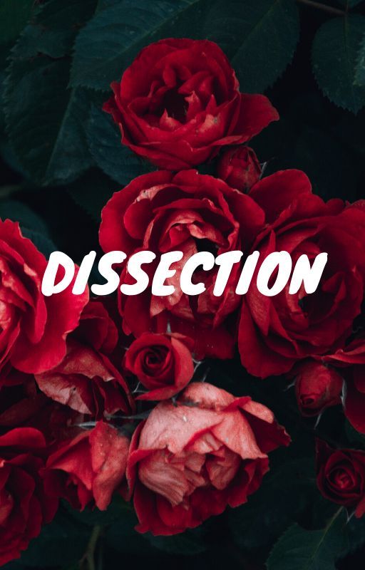 Dissection || yandere x reader by Lauriiiii15