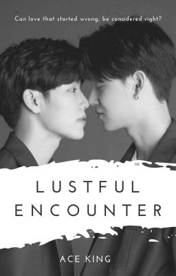 Lustful Encounter | VeeMark cover