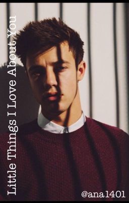 Little Things I Love About You. (Sammy Wilk/ Cam Dallas Fanfic) cover