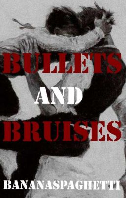 Bullets and Bruises cover