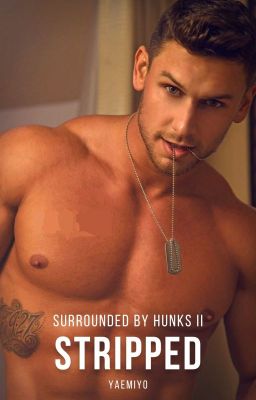 Surrounded by Hunks II : Stripped cover