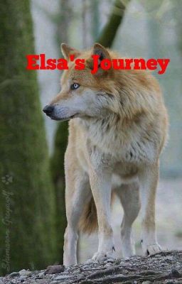 Elsa's Journey (Book I) cover