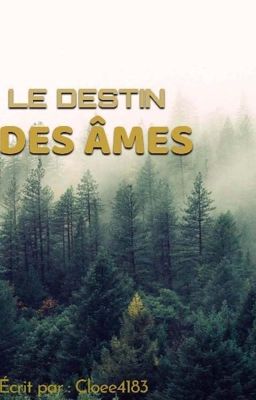 Le destin des âmes cover