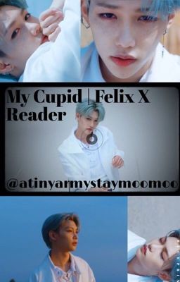 My Cupid | Felix X Reader Completed cover