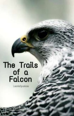 The Trails of a Falcon  cover