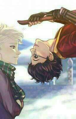 Why me? (a Drarry Veela fanfic)  cover