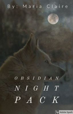 Obsidian Night Pack cover