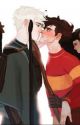 Undeniable- A Drarry fanfic by ithinkfrogsareneat