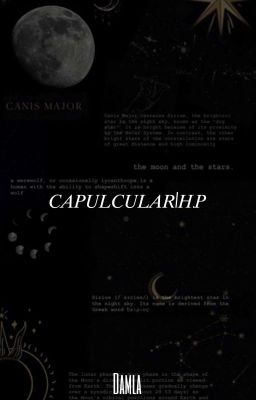 Çapulcular/H.P cover