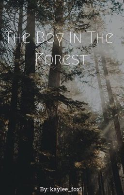 The Boy In The Forest || Wyatt x OC cover