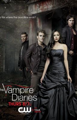 The Vampire Diaries: The Broken To Be Lost cover