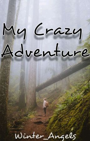 My crazy adventure by Winter_Angels