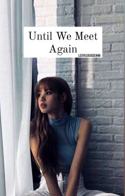 Until We Meet Again cover