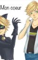 Mon coeur ~ Adrien/Chat Noir x reader by 0Bakubabe0