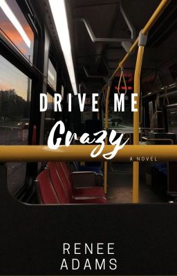 Drive Me Crazy cover