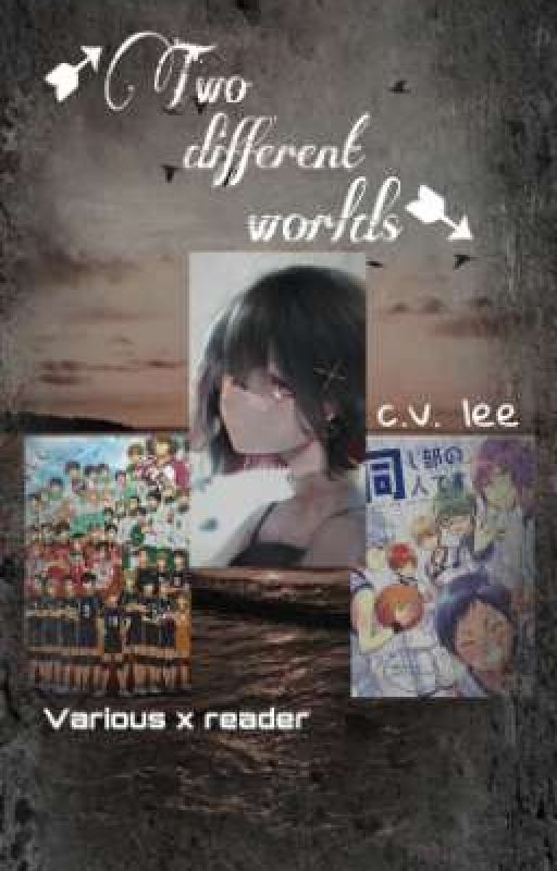 Two Different Worlds (Various x reader) by Cv_lee