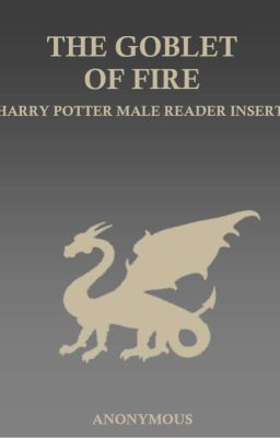 The Goblet of Fire - Harry Potter Male Reader Insert cover