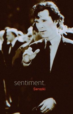 Sentiment ➳ Sherlock x Reader cover