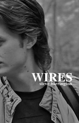 wires, steve harrington cover