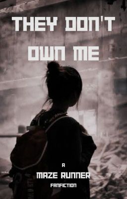 They Don't Own Me cover