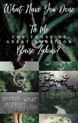 What Have You Done to Me? (Blaise Zabini/oc fanfiction) cover