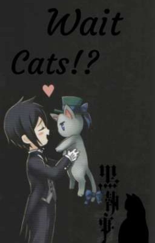 Wait Cats!? (Cats!BB X Modern!Reader) by Lunathe_Wolf135