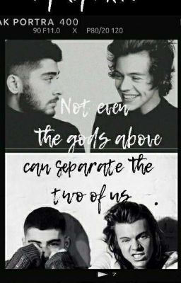 NOT EVEN THE GODS ABOVE, CAN SEPARATE THE TWO OF US (ZARRY) cover