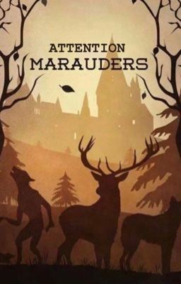 Attention Maraudeurs ! cover