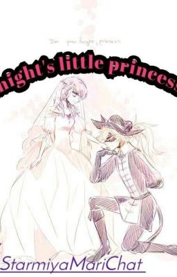 Knight's little princess cover