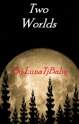 Two Worlds cover