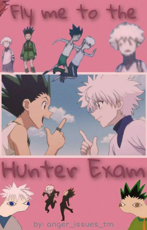 Fly me to the Hunter Exam (Hunter x Hunter Fanfiction) by anger_issues_tm