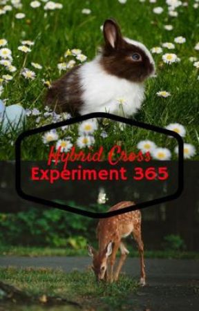 The Cross Hybrid Experiment 365 (BTS FF) by LittleLoveMystery