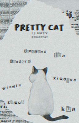 Pretty Cat | WAYV✓ cover