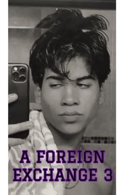 A Foreign exchange 3 cover