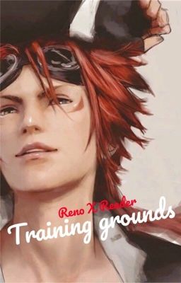 Reno X Reader- Training grounds  cover