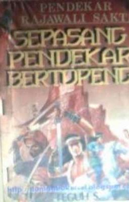 122. Pendekar Rajawali Sakti : Sepasang Pendekar Bertopeng cover