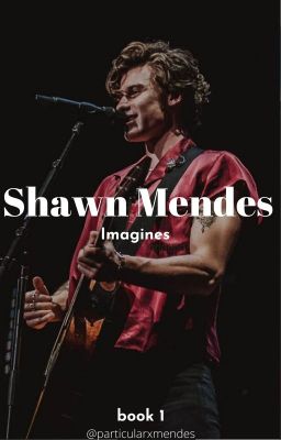 Shawn Mendes Imagines [Book 1] cover