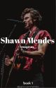 Shawn Mendes Imagines [Book 1] by particularxmendes