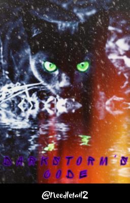 Darkstorm's Code✔️ cover