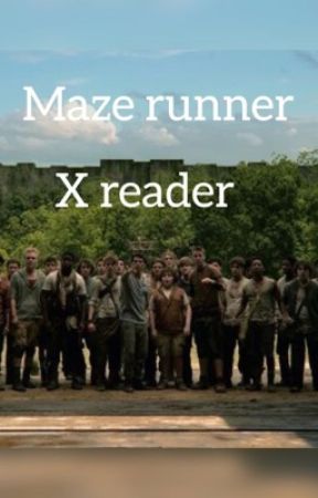 Maze runner guys x reader by fangirl700146